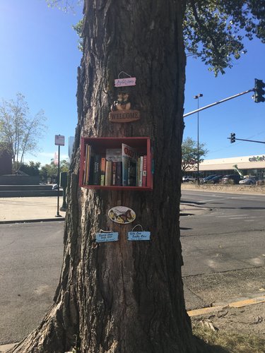 A Little Free Library with Books in Both Spanish and English