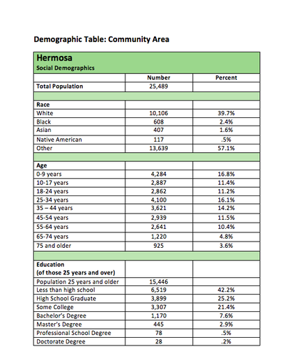 Community Area Demographics